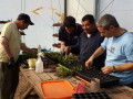 Taller de Huerta y Vivero de la Granja Andar.